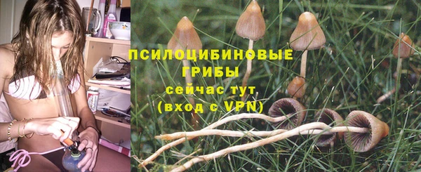 тгк Баксан