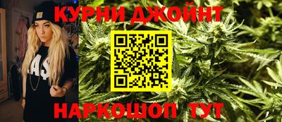 сатива Моздок