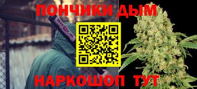 сатива Моздок