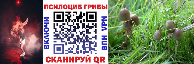 mega ONION  Гулькевичи  Псилоцибиновые грибы MAGIC MUSHROOMS 