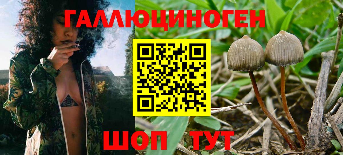Галлюциногенные грибы MAGIC MUSHROOMS Гулькевичи